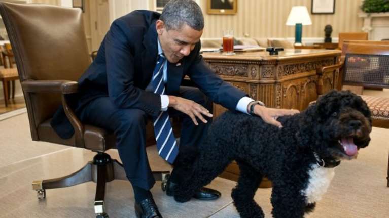 Η σκυλίτσα των Ομπάμα δάγκωσε στο πρόσωπο μια 18χρονη