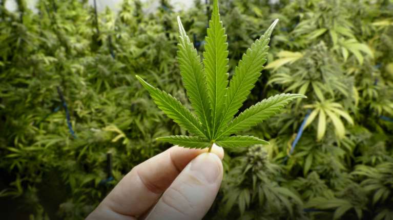 H ελληνική πόλη που είναι πρώτη σε χρήση ναρκωτικών