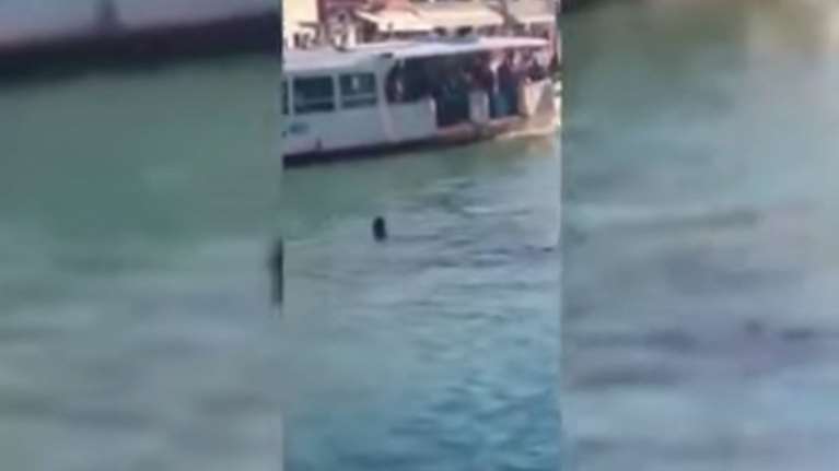 Φρίκη στη Βενετία: Αφησαν πρόσφυγα αβοήθητο να πνιγεί σε κανάλι