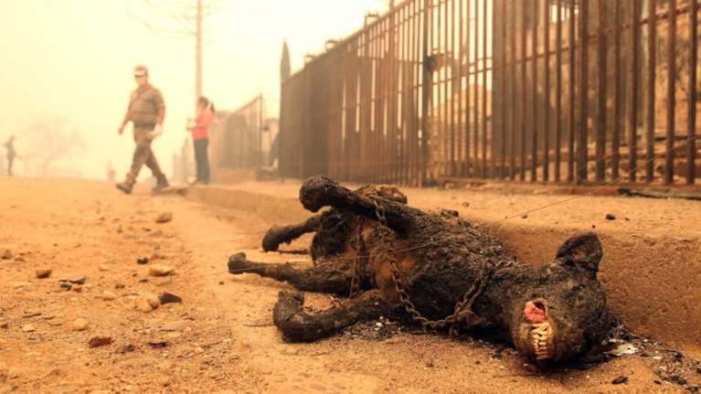 Παραδωμένη στην πύρινη λαίλαπα η Χιλή, στους εννέα οι νεκροί
