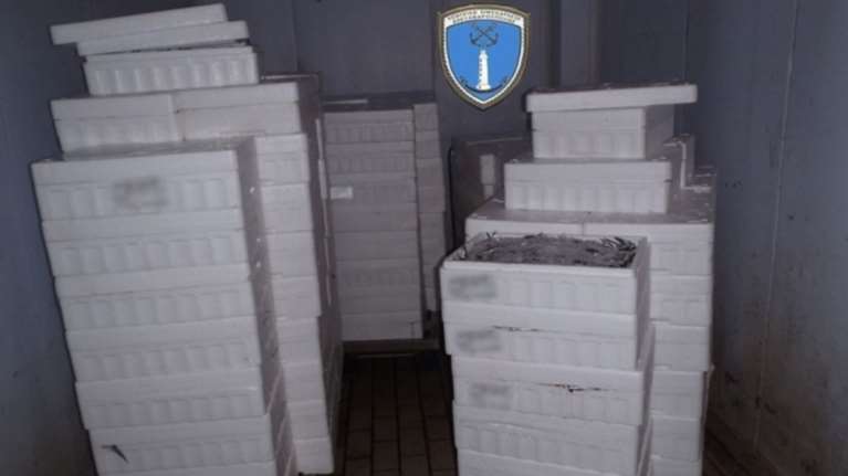 Κατασχέθηκαν 800 κιλά ψαριών λόγω παράνομης αλιείας