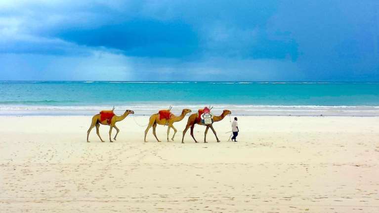 Νational Geopraphic: 14 παιδιά κέρδισαν το διαγωνισμό καλύτερης φωτογραφίας