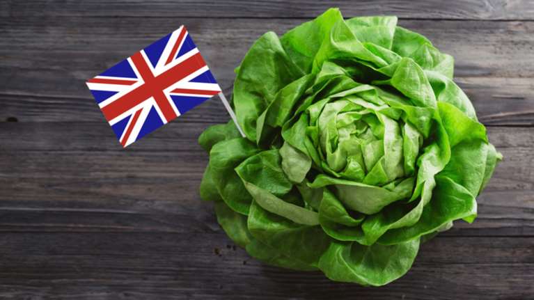 Δελτίο στα... μαρούλια έβαλαν τα βρετανικά σούπερ μάρκετ