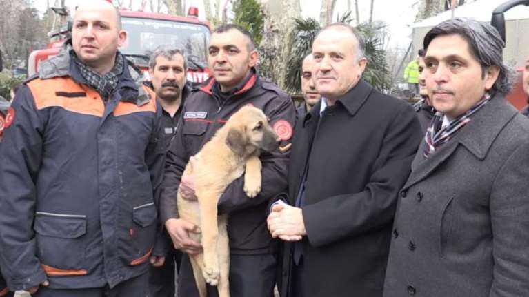 Τουρκία: Πυροσβέστες σώζουν κουτάβι από πηγάδι 70 μέτρων