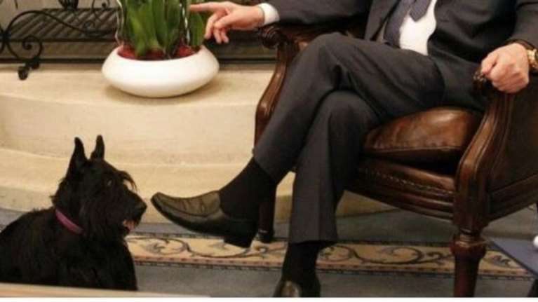 Κύπρος: Οχημα της προεδρίας σκότωσε το σκύλο του Νίκου Αναστασιάδη