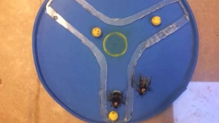 Μέλισσες έμαθαν να παίζουν μπάλα και βάζουν γκολ! (βίντεο)