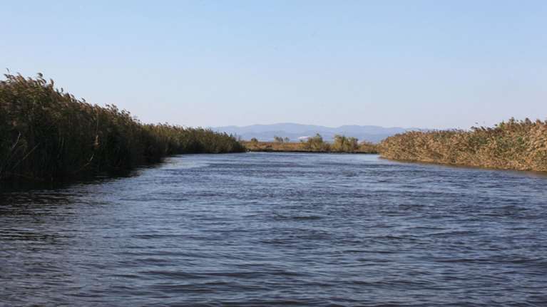 Χουριέτ: Πραξικοπηματιές περνούν στην Ελλάδα ως πρόσφυγες μέσω Εβρου