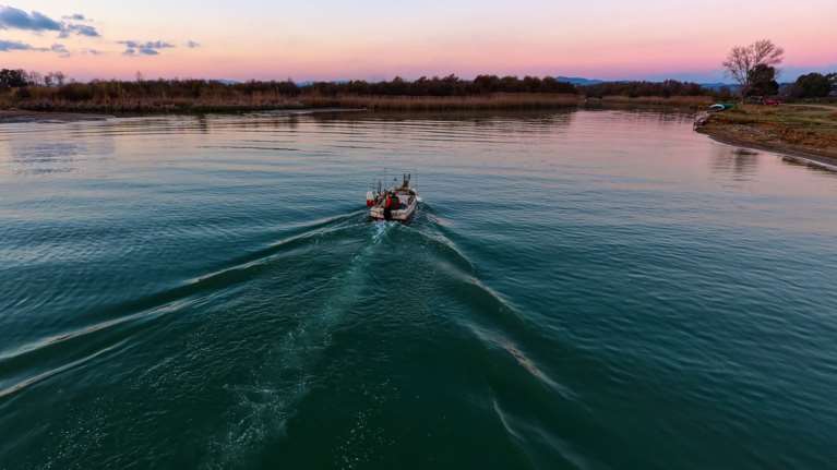 Μαγικές φωτογραφίες από τις εκβολές του Αλφειού ποταμού