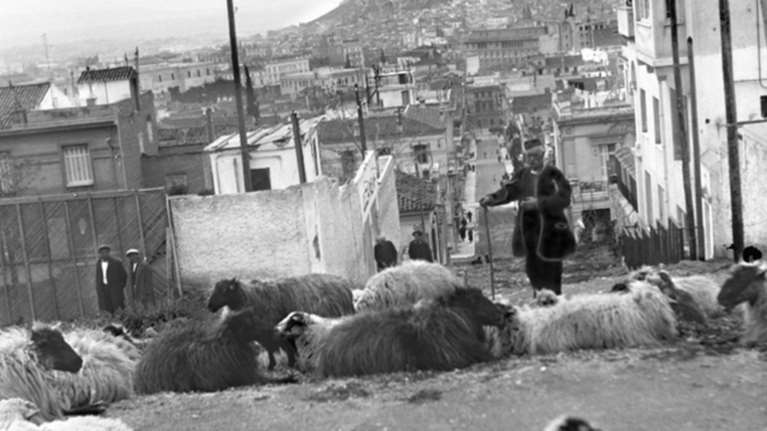 Κατσικάδικα, Αλώνια: Από πού πήραν το όνομά τους οι συνοικίες της Αθήνας