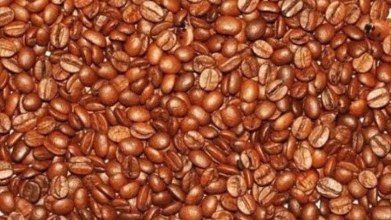 Νέο κουίζ σαρώνει: Μπορείτε να βρείτε τα μωρά και τις πασχαλίτσες;