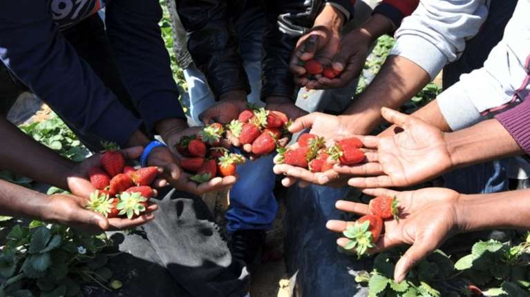 Καταδίκη από το Ευρωπαϊκό Δικαστήριο για την υπόθεση Μανωλάδα