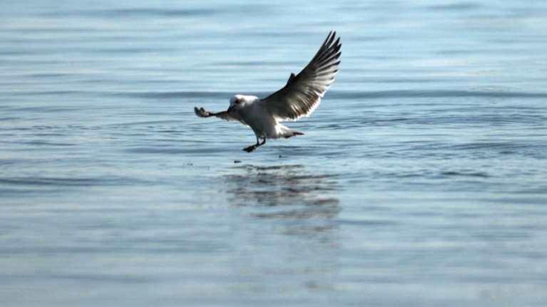 Καιρός: Η Mεγάλη Eβδομάδα μπαίνει με ήλιο και ζέστη