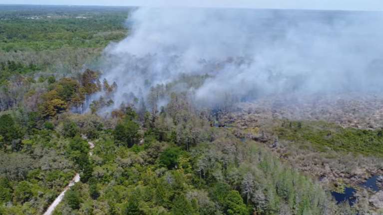 Η Φλόριντα καίγεται: 100 φωτιές μαίνονται στην πολιτεία