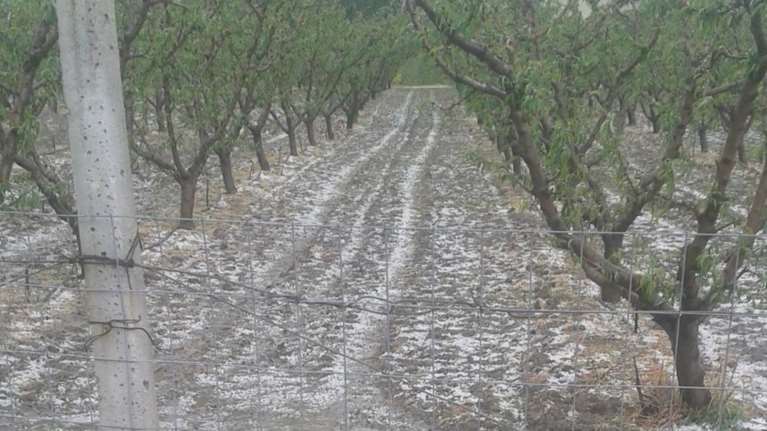 Χαλάζι στο μέγεθος φουντουκιού έπεσε στην Κοζάνη  φωτο &amp; video