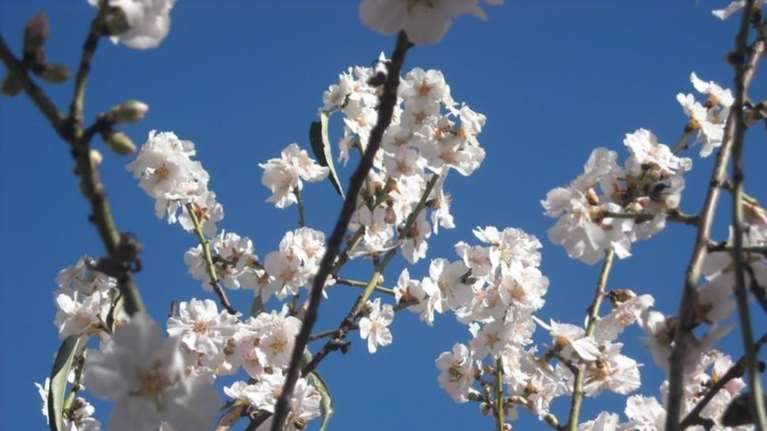 Καιρός: Σταδιακή άνοδος της θερμοκρασίας