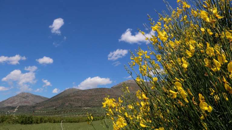 Aνοιξιάτικος ο καιρός, ανεβαίνει κι άλλο η θερμοκρασία