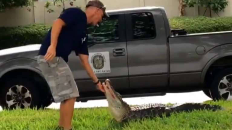 Αγάπη μόνο: Πάλεψε με τον κροκόδειλο και στο τέλος τον ...φίλησε