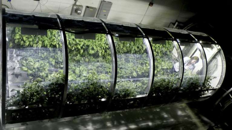 Η NASA σχεδιάζει ένα φουσκωτό θερμοκήπιο για τον  Άρη