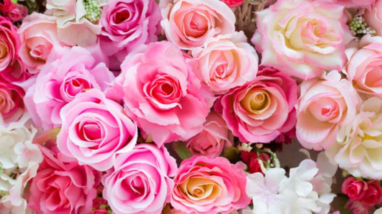 Μάθετε τους συμβολισμούς των λουλουδιών πριν τα χαρίσετε