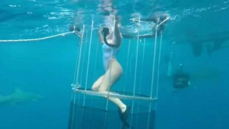 Ο καρχαρίας δάγκωσε την πορνοστάρ μέσα στο κλουβί