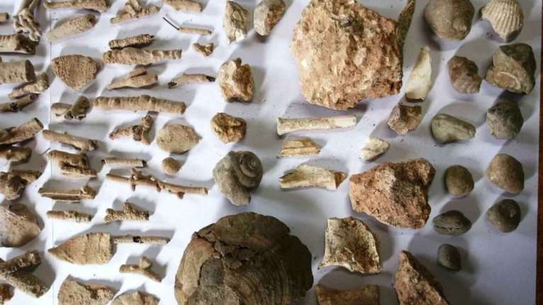 Βρήκαν θησαυρό με αρχαία σε αποθήκη στη Χαλκιδική