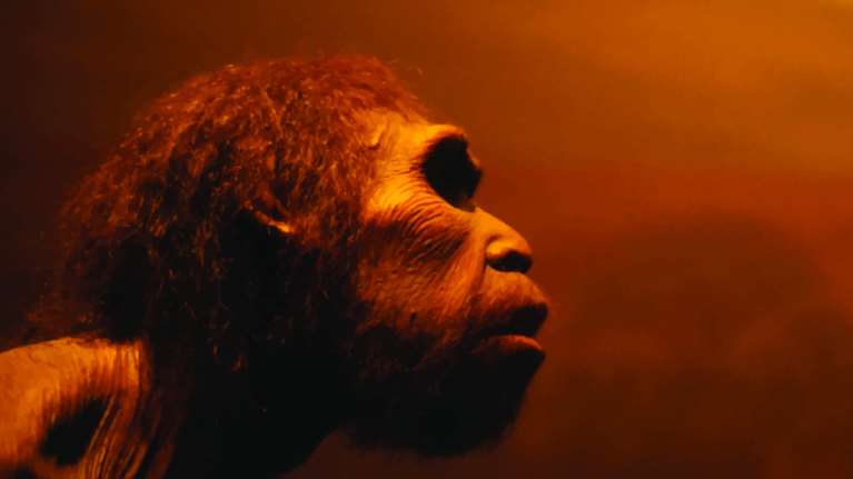 Νέα έρευνα: Ο πρώτος Άνθρωπος ίσως να εμφανίσθηκε στην Ελλάδα