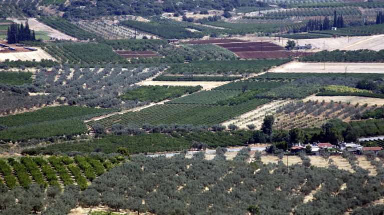 Εκτός ΕΝΦΙΑ τα αγροτεμάχια ως το 2018- Νέα «τρύπα» 460 εκατ.