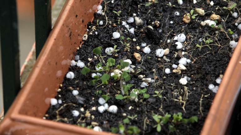 Ισχυρή χαλαζόπτωση έπληξε τα Τρίκαλα [βίντεο]