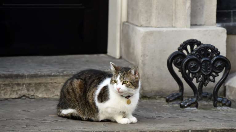 Ποια Μέι; Ο γάτος Λάρι... αυτοδύναμος στην Ντάουνινγκ Στριτ