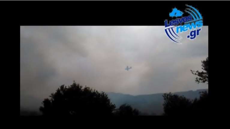 Λέσβος: Πυρκαγιά απειλεί ακόμα και σπίτια κοντά στο αεροδρόμιο -βίντεο