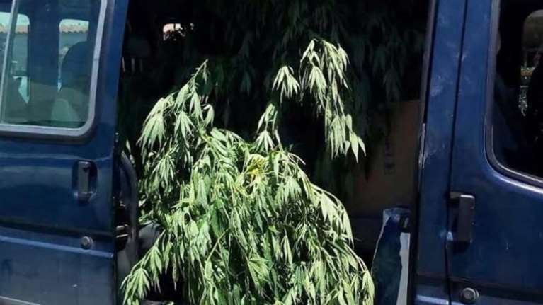 Όπλα, σφαίρες και 80 δενδρύλλια κάνναβης στο στρατόπεδο Καποτά