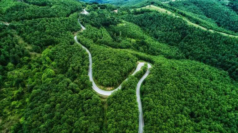 Νέα δεδομένα για τους αναρτημένους δασικούς χάρτες