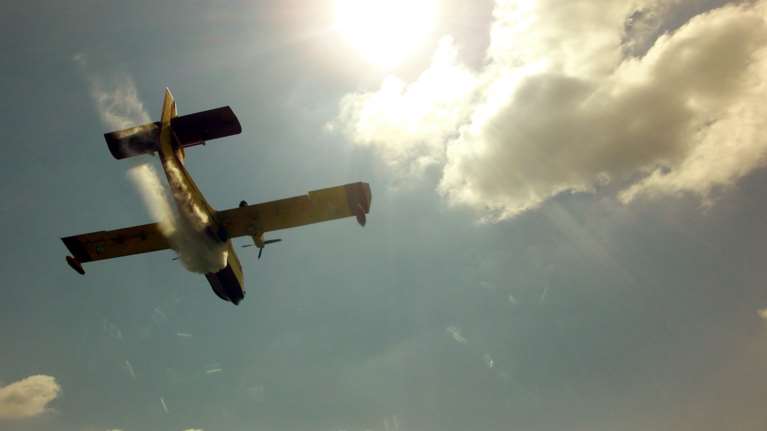 Σε εξέλιξη πυρκαγιά στον Ωρωπό Αττικής - Δεν κινδυνεύουν σπίτια