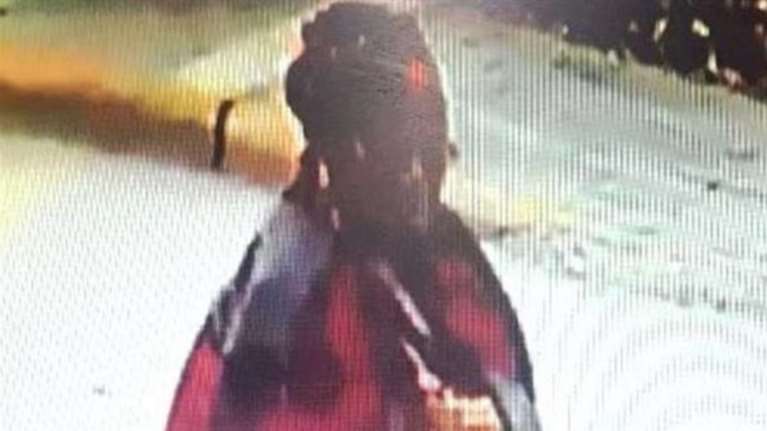 Ποια είναι η μυστηριώδης γυναίκα που βανδάλισε εκθέματα στη Βεργίνα