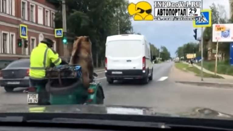 Βόλτα με μηχανή και συνεπιβάτη αρκούδα