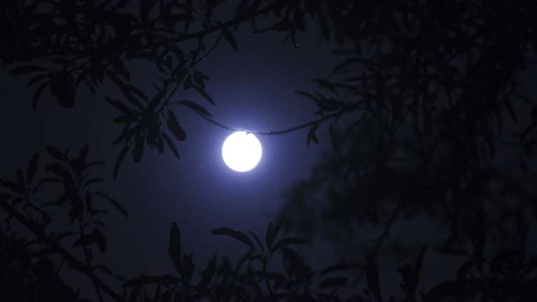 7/8:Η δημοφιλέστερη πανσέληνος και μια δυνατή έκλειψη. Τι ακριβώς συμβαίνει