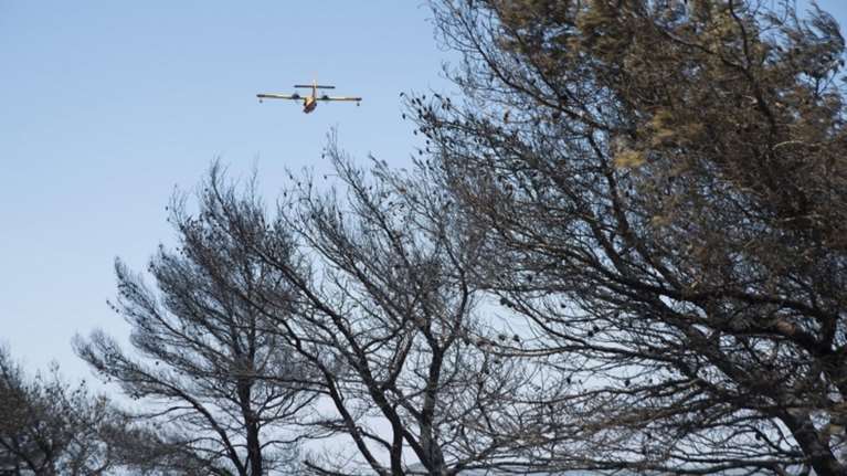 Φωτιά σε δάσος στην Αχλαδινή Ηλείας