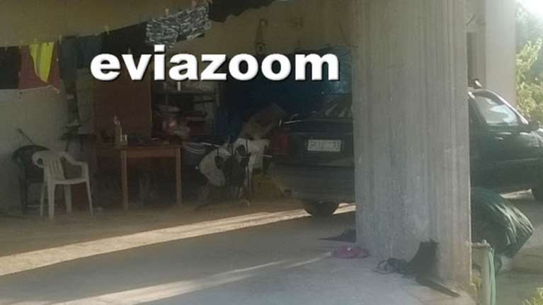 Μαρτυρία σοκ στην Εύβοια: Άκουσα το σπινάρισμα και μια κραυγή