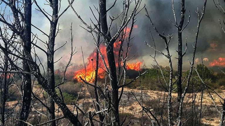 Σε πλήρη εξέλιξη δύο μεγάλες φωτιές στη Ζάκυνθο