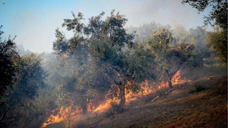 Aνεξέλεγκτη η φωτιά στην Ηλεία - Εκκενώθηκε το χωριό Περιστέρι