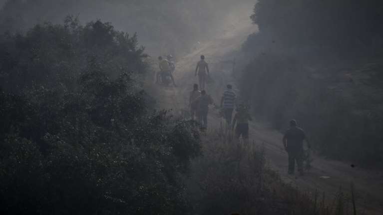 Νεκρά πολλά ζώα στις πυρκαγιές - Πώς μπορείτε να βοηθήσετε