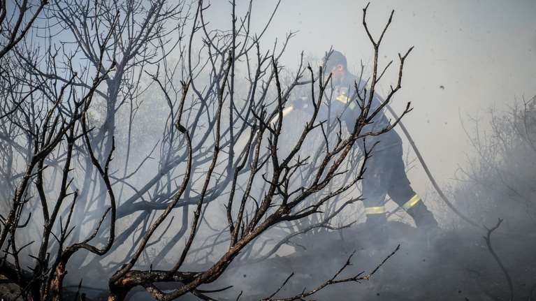 Καταγγελία: Κατέβασαν πυροσβέστες από πλοίο στην Κεφαλονιά