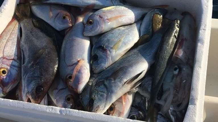 Ποιος «γαλάζιος» πρώην υπουργός πήγε για ψάρεμα