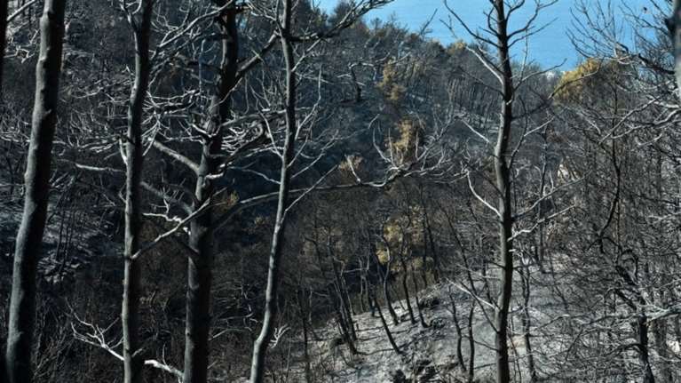 Συνεχίζεται η κόντρα για τον αριθμό των καμμένων στρεμμάτων