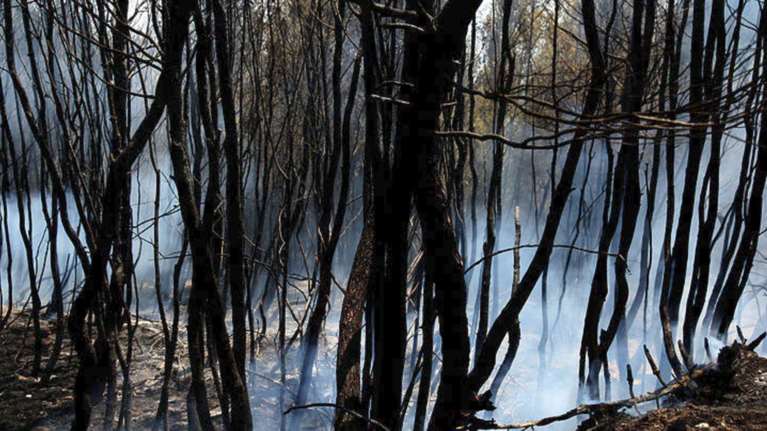 Σε ύφεση οι πυρκαγιές που ξέσπασαν στην Κέρκυρα