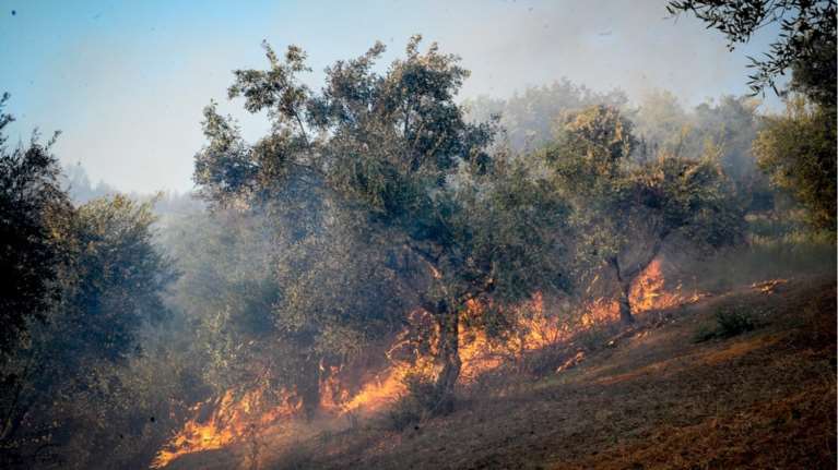 Σε εξέλιξη είναι πυρκαγιά στο Σανταμέρι Αχαΐας