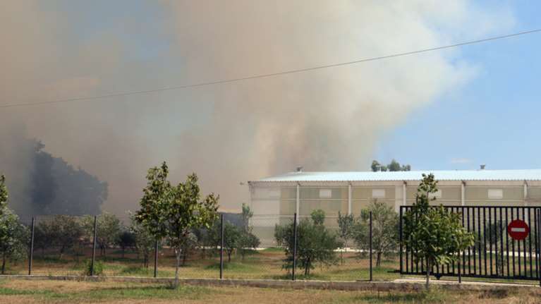 Δύο πύρινα μέτωπα στην Πρέβεζα: Στάχτη εργοστάσιο και θερμοκήπια