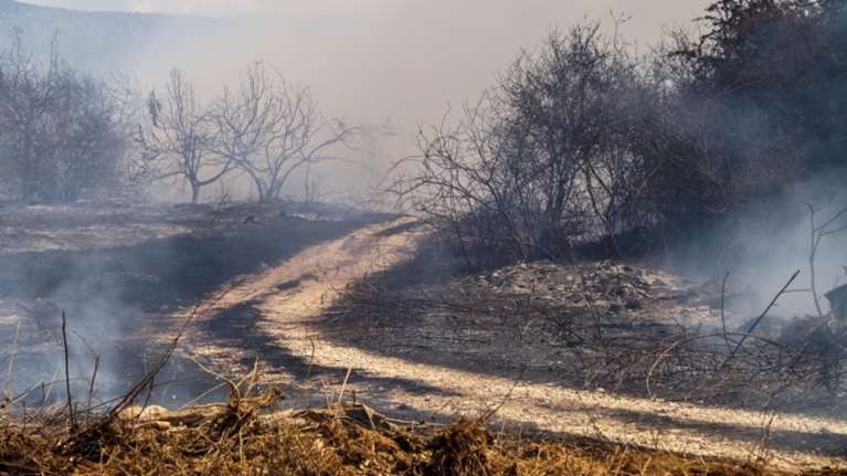 ΥΠΕΝ: Θα ανακληθούν τυχόν διαχειριστικές μελέτες για τα καμμένα