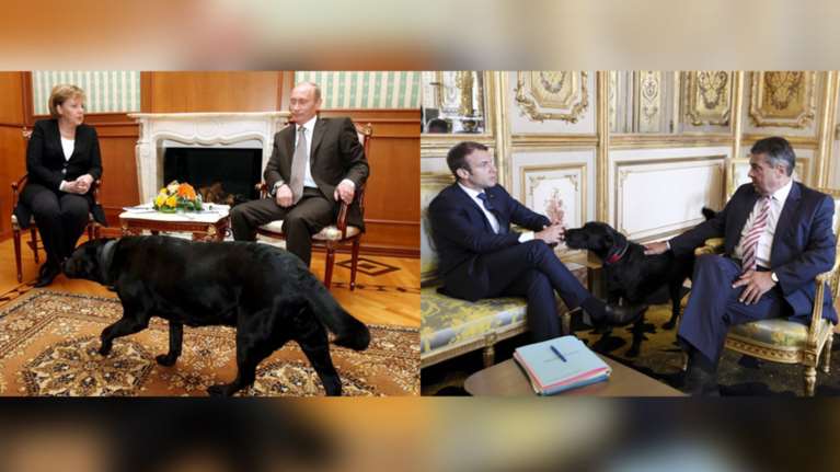 Τα μαύρα σκυλιά του Μακρόν &amp; του Πούτιν και οι...γερμανοί