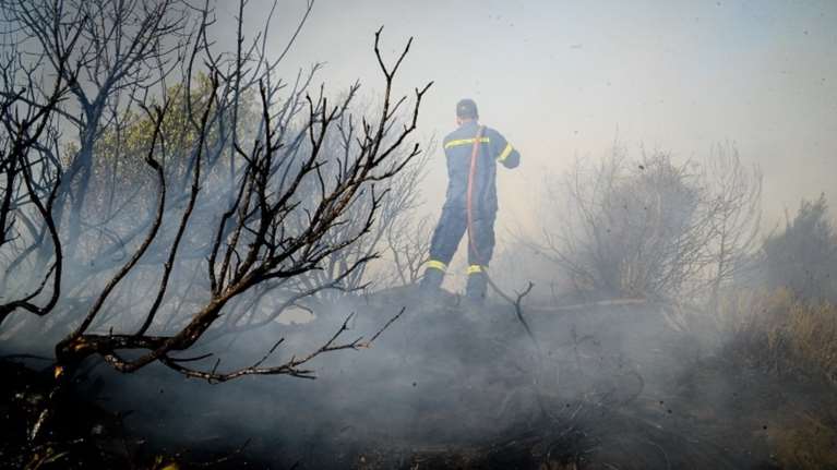 Υπό μερικό έλεγχο η δασική πυρκαγιά στην Ήλιδα της Ηλείας